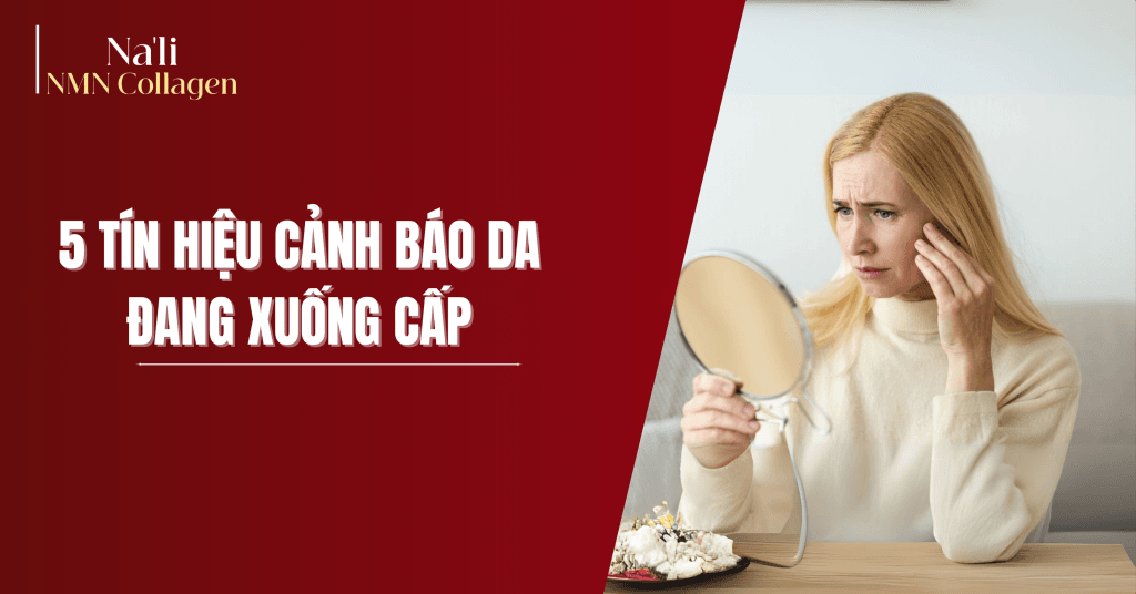 Da xuống cấp không phải do tuổi tác mà do thiếu collagen trầm trọng. Đây là 5 tín hiệu cảnh báo sớm và cách Na’li NMN Collagen giúp phục hồi da hiệu quả.