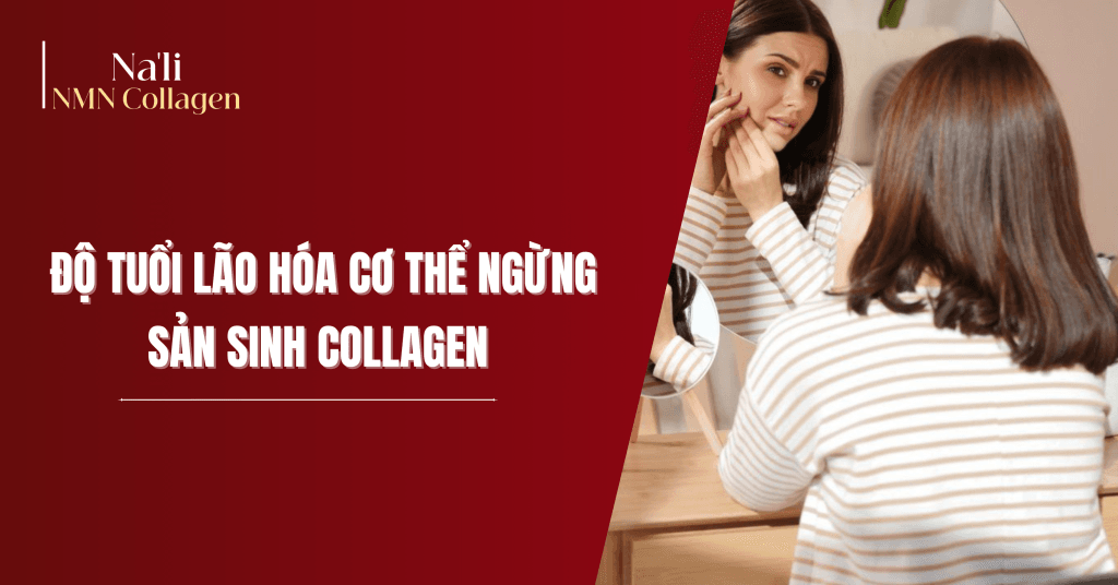 Na’li NMN Collagen được nhiều chuyên gia lựa chọn vì vừa bổ sung collagen đúng hàm lượng, vừa hỗ trợ phục hồi năng lượng tế bào – nền tảng quan trọng để da tăng khả năng tái tạo tự nhiên.