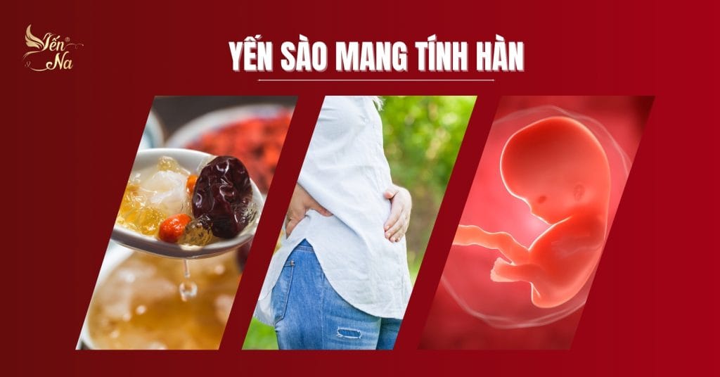 phụ nữ mang thai 3 tháng đầu - Yến sào là một sản phẩm mang tính hàn nên tránh