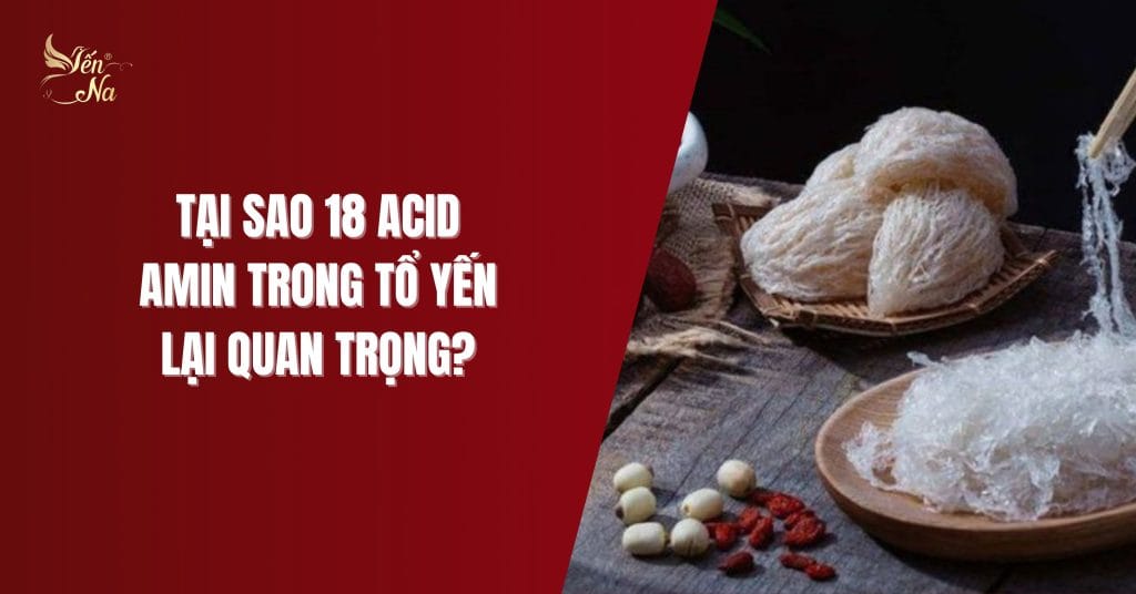 Tại sao 18 acid amin trong Tổ yến lại quan trọng?