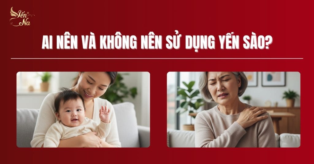 Yến sào - đối tượng sử dụng