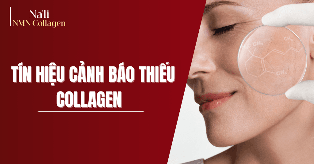 Da xuống cấp không phải do tuổi tác mà do thiếu collagen trầm trọng. Đây là 5 tín hiệu cảnh báo sớm và cách Na’li NMN Collagen giúp phục hồi da hiệu quả.