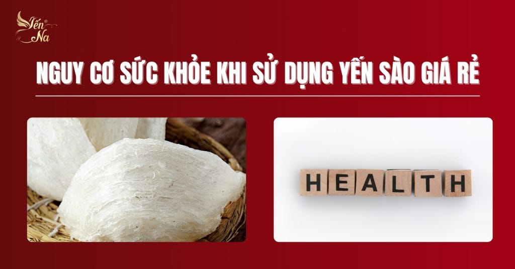 Yến sào - những tiềm ẩn về sức khỏe người dùng khi dùng hàng kém chất lượng