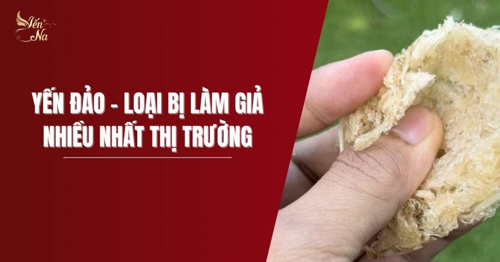 Tổ yến đảo là loại bị làm giả nhiều nhất trên thị trường