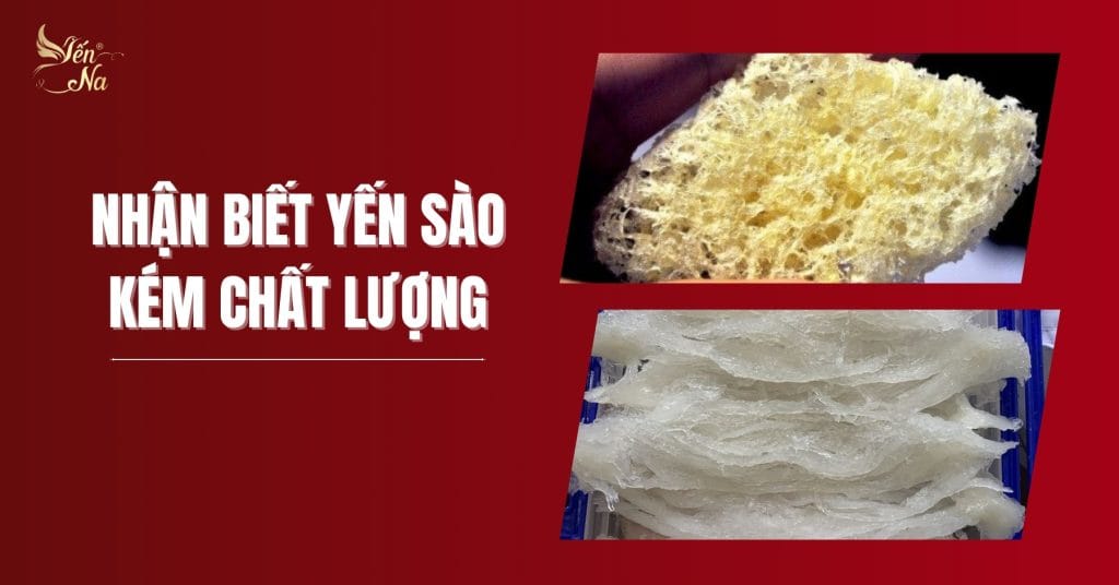 Yến sào - một số cách nhận biết về yến sào kém chất lượng trên thị trường