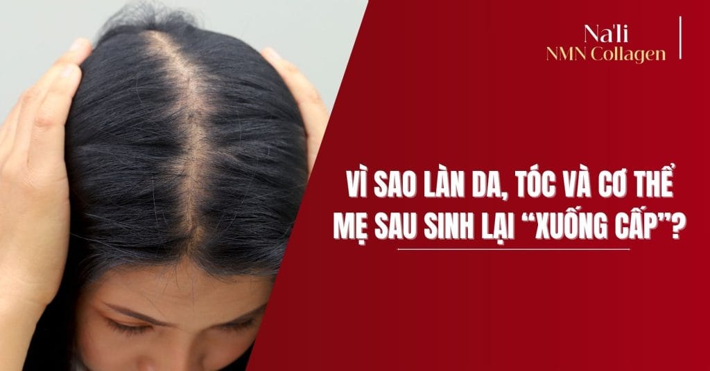 Na'li NMN Collagen - ảnh 1