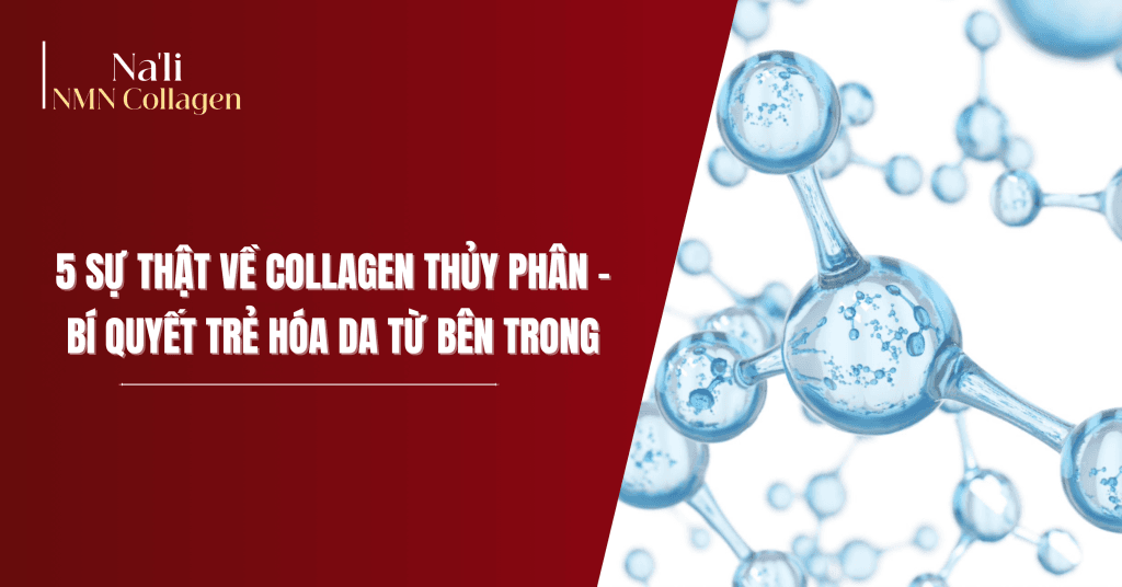 collagen thủy phân