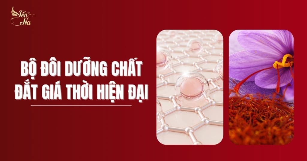 Yến hũ tiệt trùng Saffron & Collagen - kho tàng dinh dưỡng tự nhiên