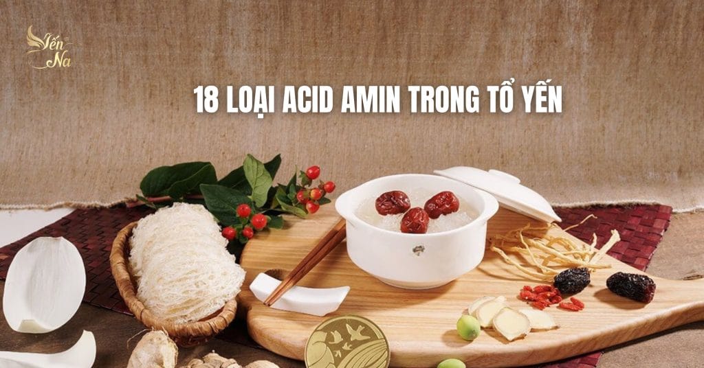 18 loại acid amin trong Tổ yến
