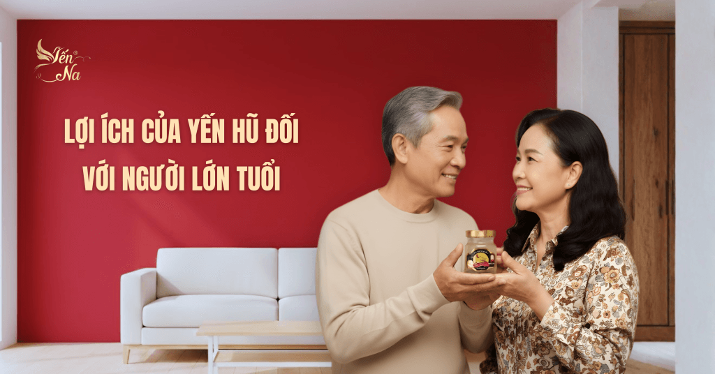 yến hũ cho người lớn tuổi