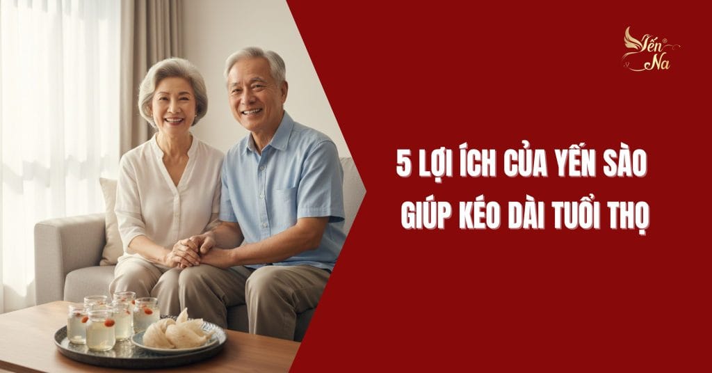 5 Lợi ích của Yến sào giúp kéo dài tuổi thọ