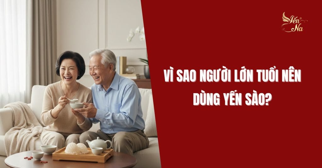 Vì sao người lớn tuổi nên dùng yến sào?