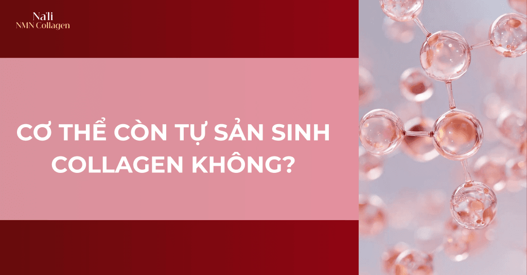 Na'li NMN Collagen sẽ giải đáp về vấn đề sản sinh collagen của cơ thể