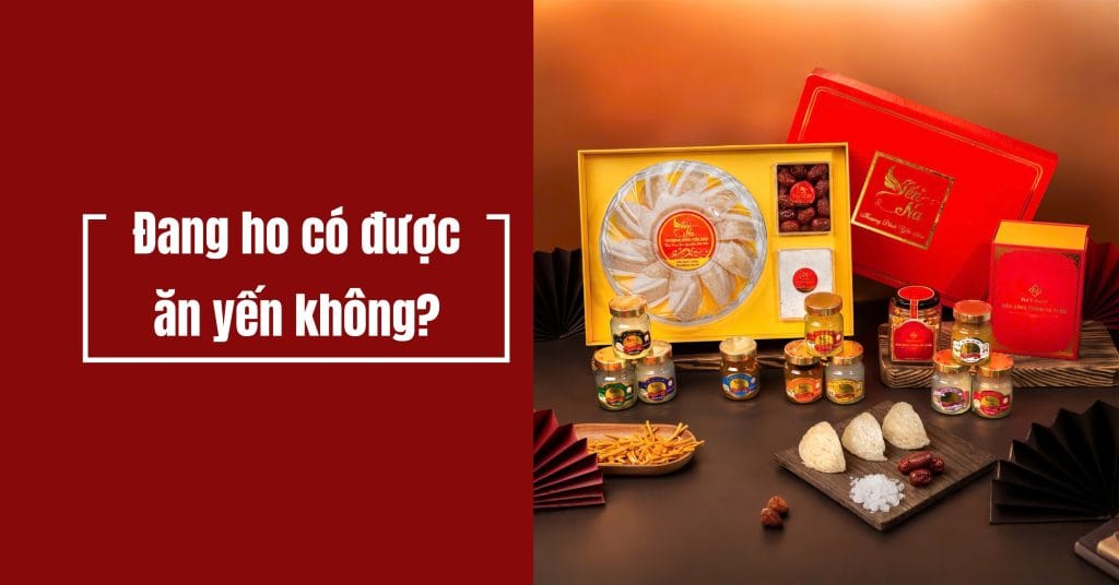 đang ho có ăn yến được không