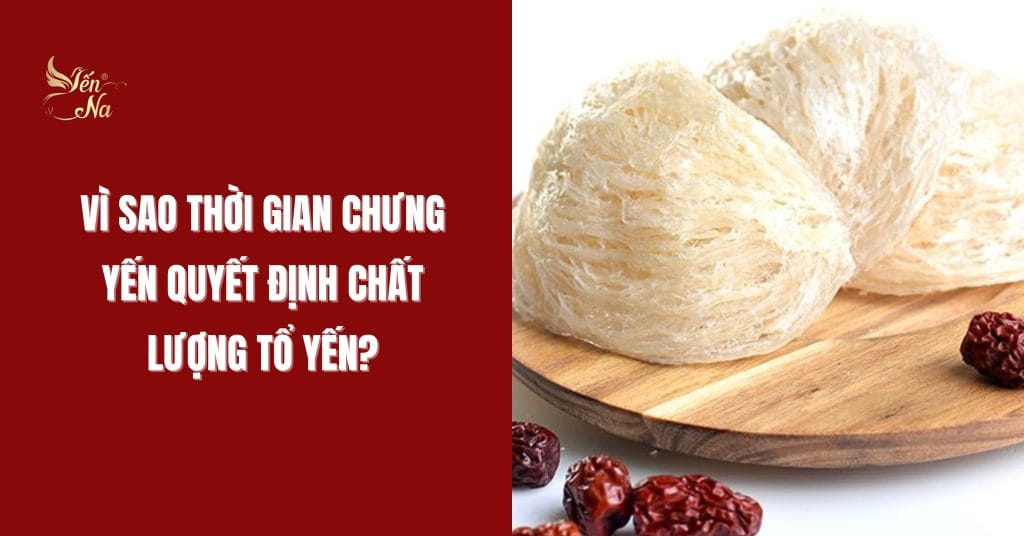 Vì sao thời gian chưng lại quyết định chất lượng tổ yến?