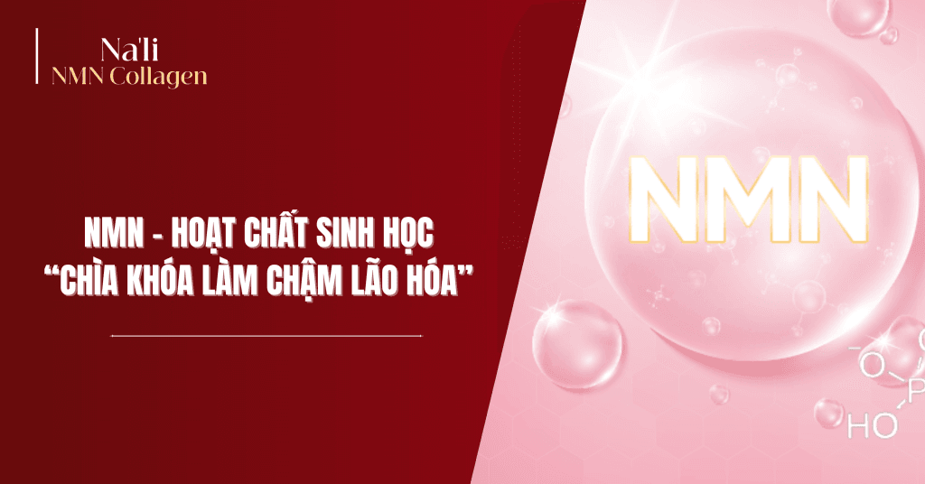 Na’li NMN Collagen vượt trội hơn collagen thông thường chỉ bổ sung đơn thuần.