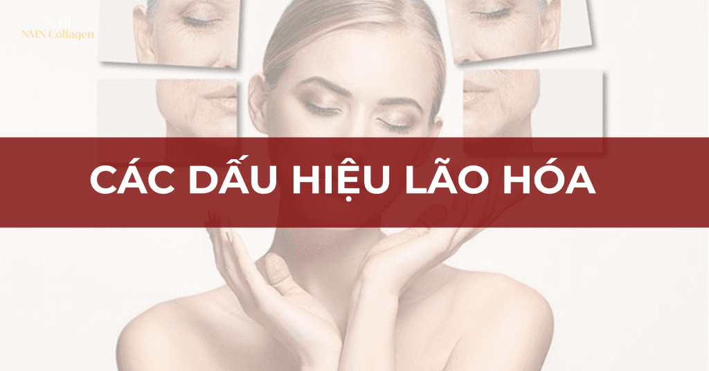 Na’li NMN Collagen giúp tái tạo cấu trúc da từ bên trong, tăng khả năng đàn hồi và cải thiện độ săn chắc tự nhiên.