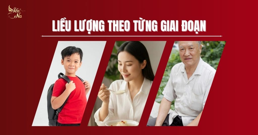 yến - môi xgiai đoạn nên ăn bằng nào yến cho đủ
