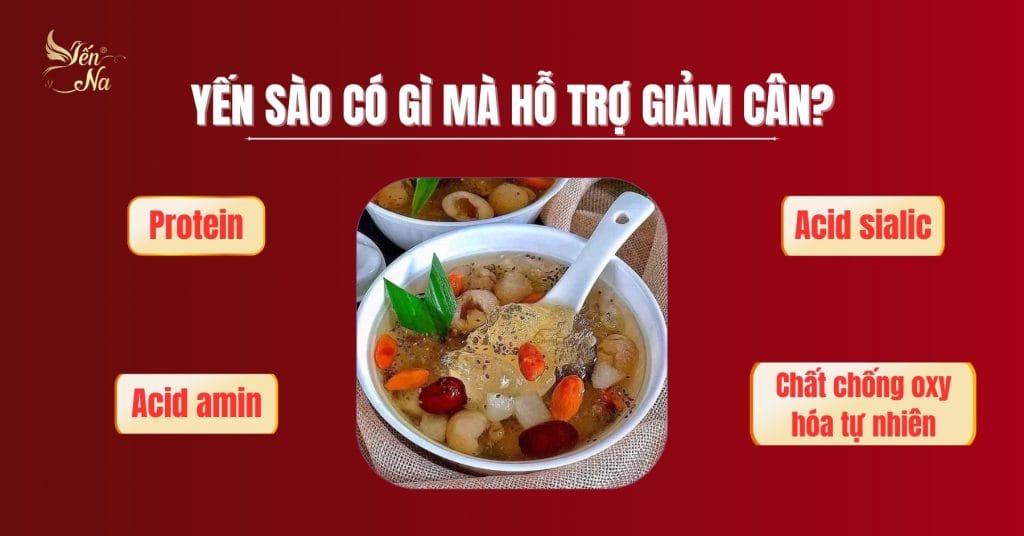 Yến sào - thành phần có gì mà giúp giảm cân