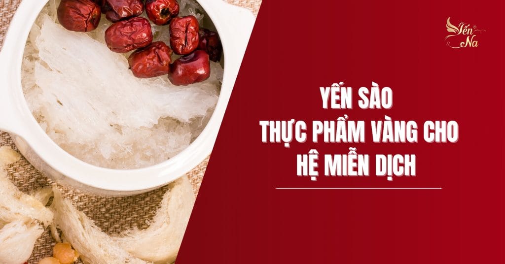 Yến Sào - Thực Phẩm Vàng Cho Hệ Miễn Dịch