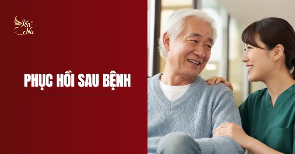 Yến sào Phục Hồi Sau Bệnh