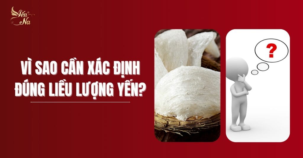 yến - vì sao nên ăn đúng liều lượng?