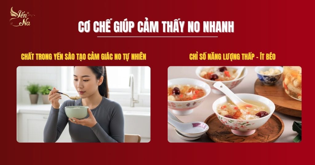 yến sào - cơ chế giúp người giảm cân là gì