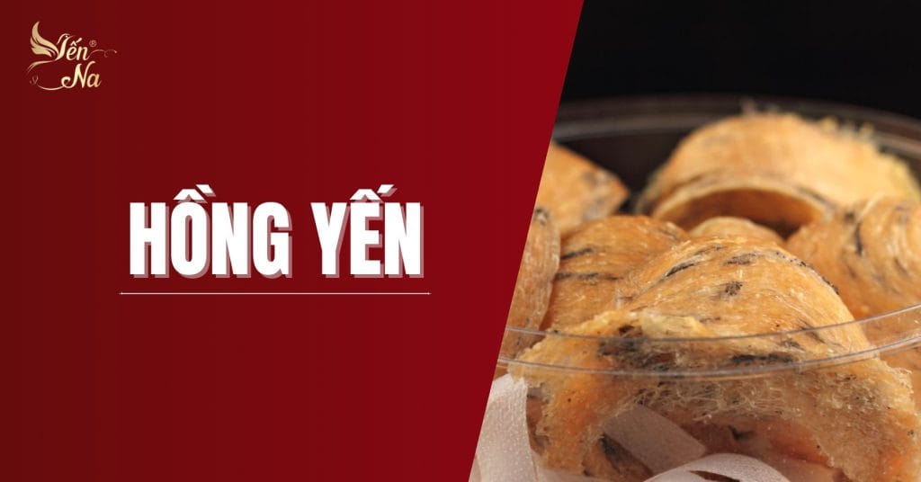 Tổ yến - hồng yến