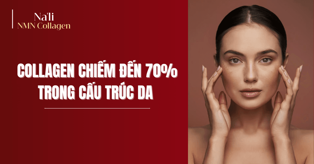 Na’li NMN Collagen vượt trội hơn collagen thông thường chỉ bổ sung đơn thuần.