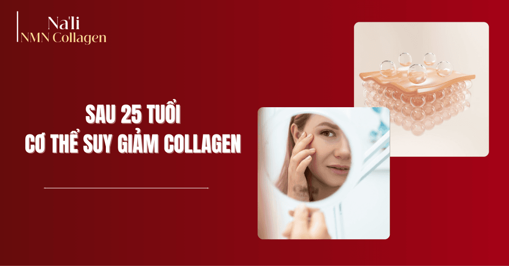 Na’li NMN Collagen cung cấp collagen peptide dễ hấp thụ cùng NMN hỗ trợ năng lượng cho nguyên bào sợi hoạt động tốt hơn.