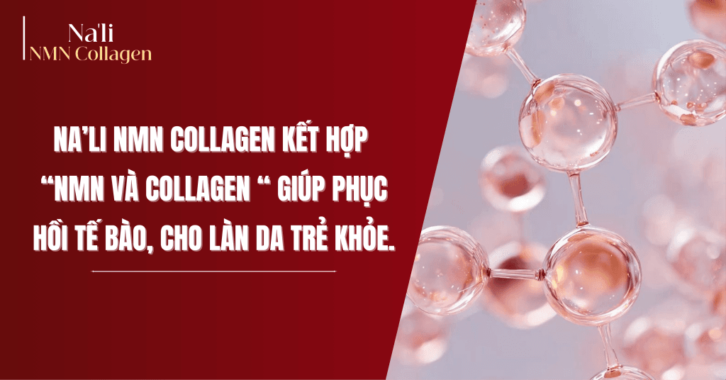 Na’li NMN Collagen giúp tái tạo cấu trúc da từ bên trong, tăng khả năng đàn hồi và cải thiện độ săn chắc tự nhiên.