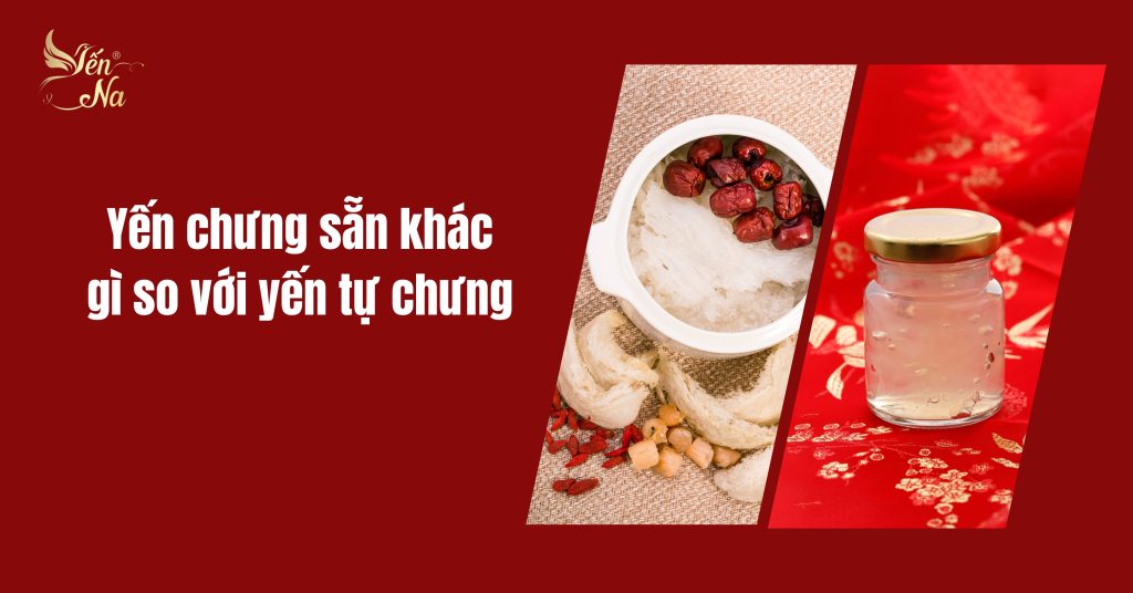 yến chưng sẵn khác gì so với yến tự chưng