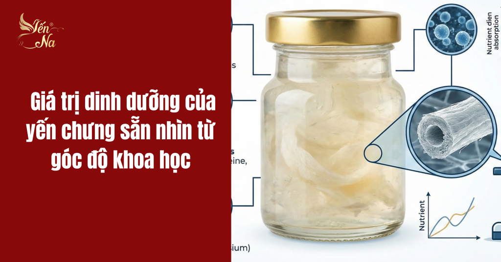 giá trị dinh dưỡng của yến chưng sẵn dưới góc nhìn khoa học