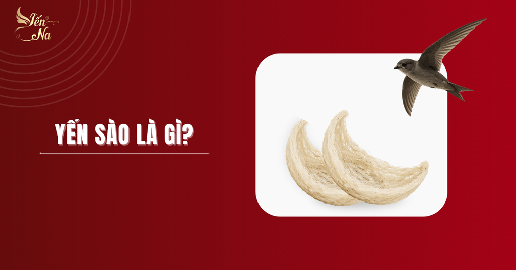 Yến sào hay tổ yến là tổ được tạo nên chủ yếu từ nước bọt của một số loài chim yến thuộc họ Apodidae.
