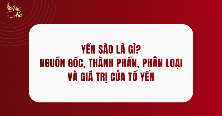YẾN SÀO CHO TỪNG NHU CẦU: AI NÊN DÙNG YẾN VÀ NÊN CHỌN LOẠI NÀO?